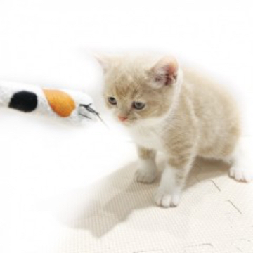 animal_image