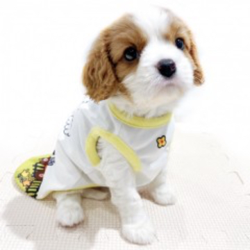 animal_image
