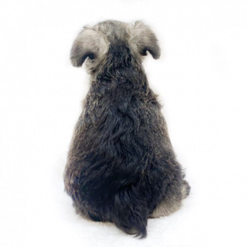 animal_image