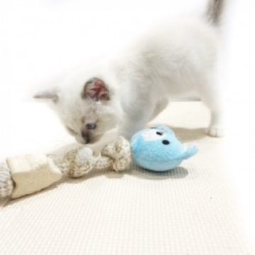 animal_image