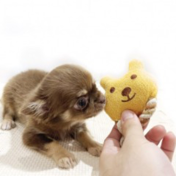 animal_image