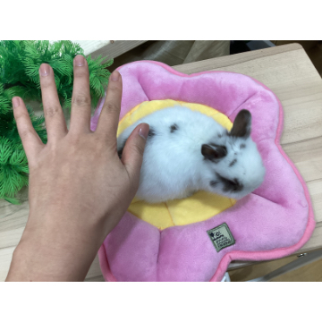 animal_image