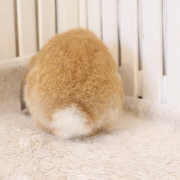 animal_image