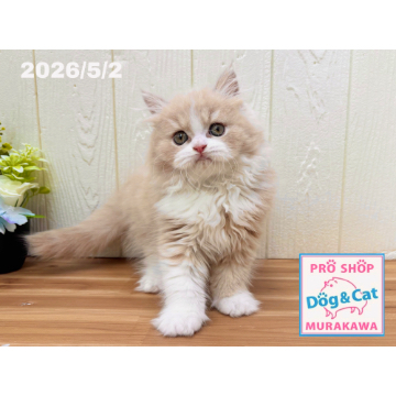 animal_image