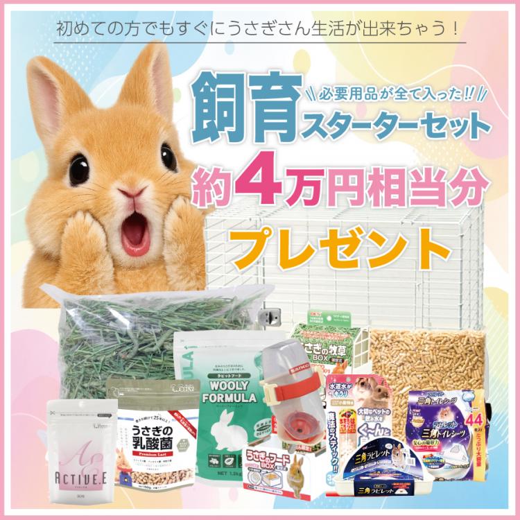 animal_image