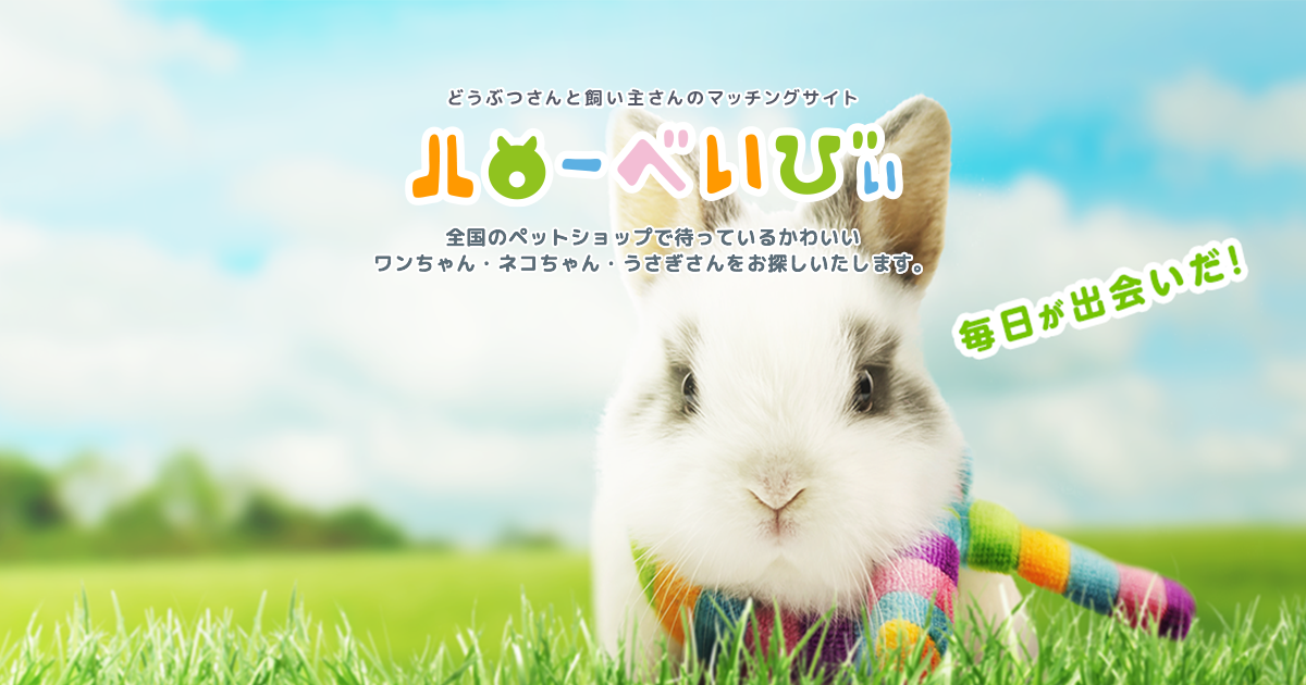 ペットショップ一覧 ハローべいびぃ