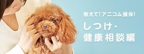 教えて！アニコム損保！（しつけ・健康相談）