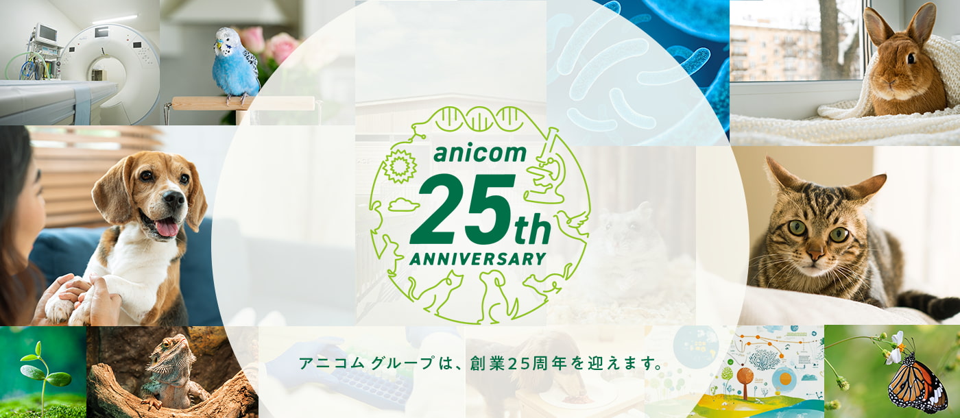 anicom 25th anniversary