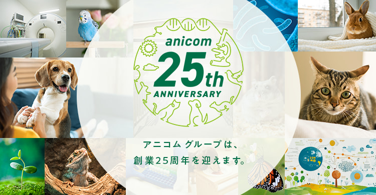 anicom 25th anniversary