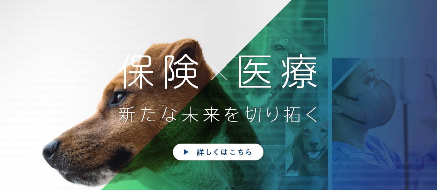 保険×医療 新たな未来を切り開く