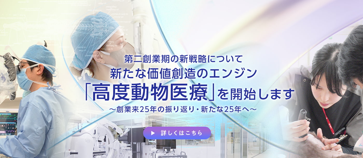 第二創業期の新戦略