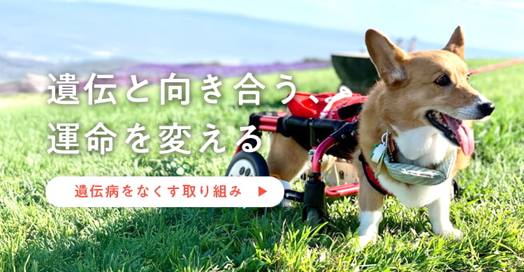 遺伝子と向き合う、運命を変える　遺伝病をなくす取り組み