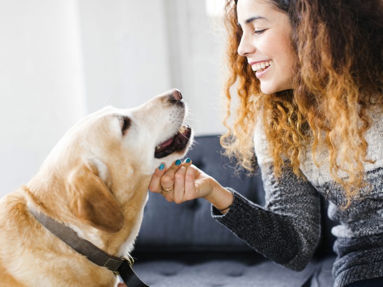 犬はパルメザンチーズを食べても大丈夫ですか？