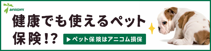 犬の血便の原因と対策 押さえておきたいポイントをご紹介 犬との暮らし大百科