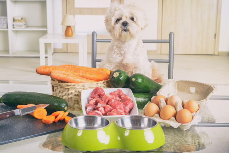 犬 ストルバイト 食べ させ て いい もの