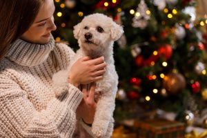 子犬：疥癬、診断、治療