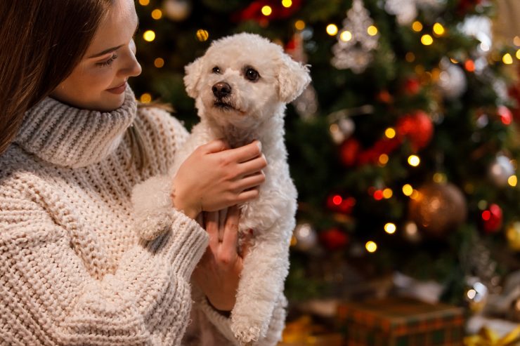 マットレスから疥癬を取り除くにはどうすればよいですか?