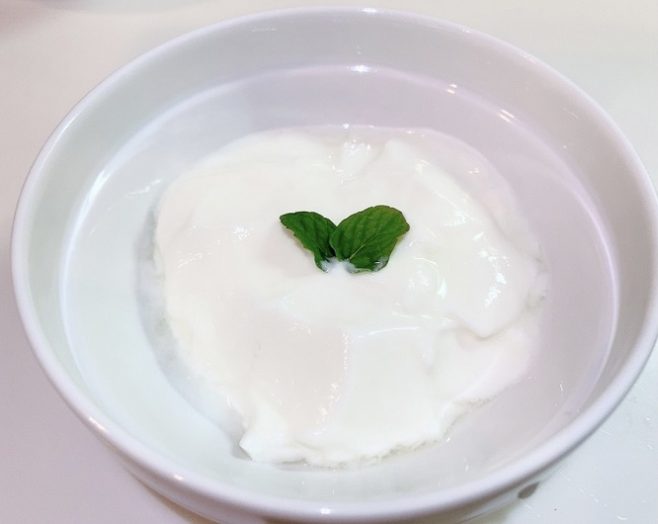 ワンちゃんも大好き!栄養満点のヨーグルト
