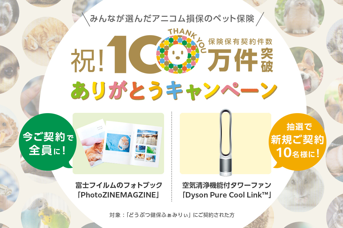 祝!保険保有契約件数100万件突破ありがとうキャンペーン