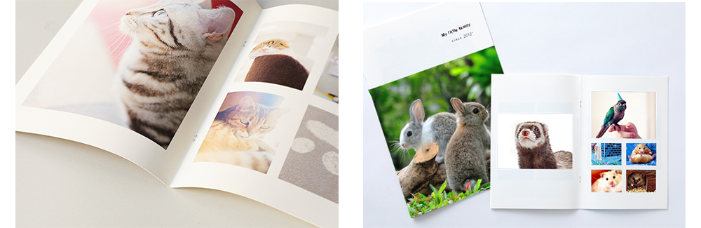 PhotoZINE MAGZINE