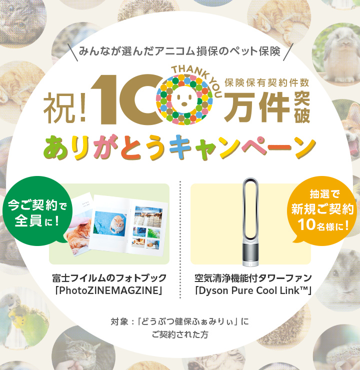 祝!保険保有契約件数100万件突破ありがとうキャンペーン