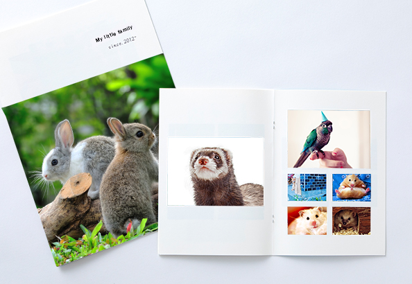 PhotoZINE MAGZINE