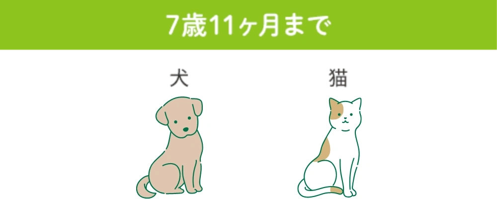 7歳11ヶ月まで：犬・猫