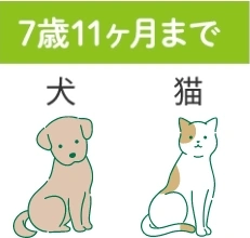7歳11ヶ月まで：犬・猫
