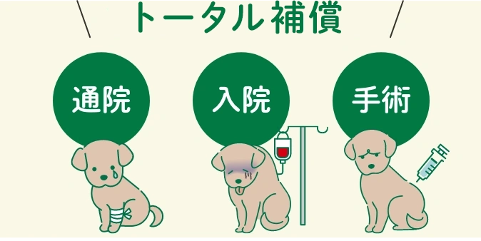 トータル補償