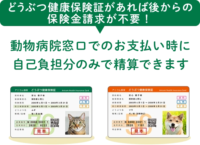 動物病院窓口でのお支払い時に自己負担分のみで精算できます