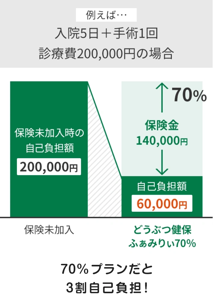 70%プランだと3割自己負担