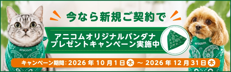今なら新規ご契約でアニコムオリジナルバンダナプレゼントキャンペーン実施中！