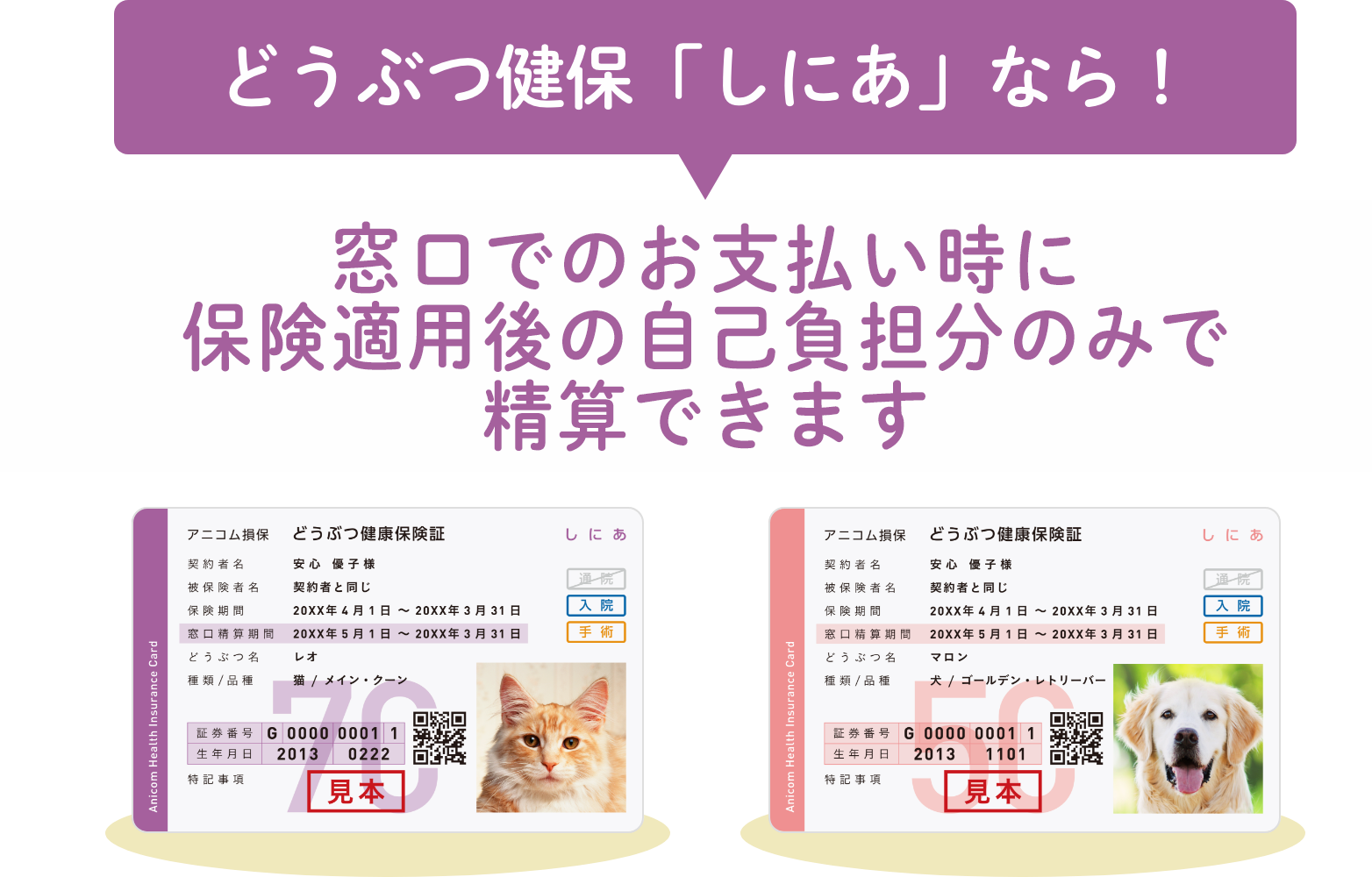 どうぶつ健保「しにあ」なら！窓口でのお支払い時に保険適用後の自己負担分のみで精算できます