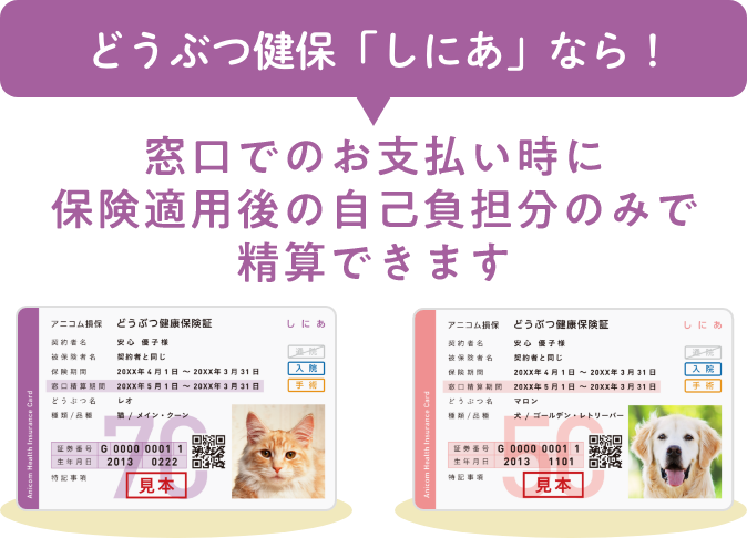 どうぶつ健保「しにあ」なら！窓口でのお支払い時に保険適用後の自己負担分のみで精算できます