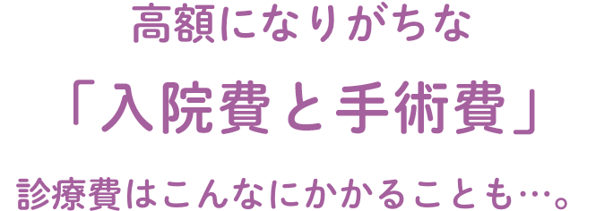 高額になりがちな「入院費と手術費」診療費はこんなにかかることも