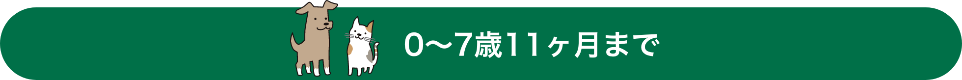 0～7歳11ヶ月まで