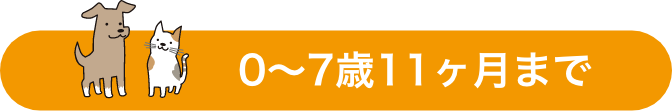 0～7歳11ヶ月まで