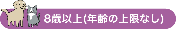 8歳以上(年齢の上限なし)