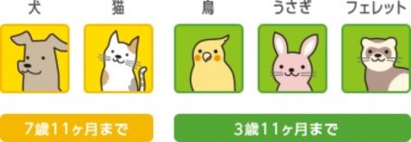 0～7歳11ヶ月まで