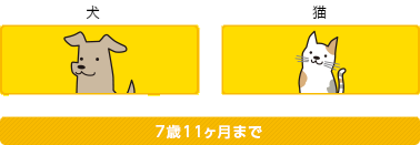 0～7歳11ヶ月まで