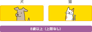 0～7歳11ヶ月まで