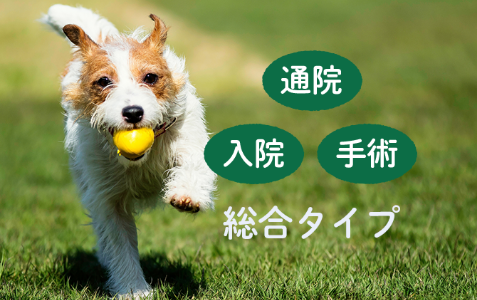 通院 入院 手術の総合タイプ