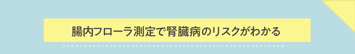 なぜ猫は腎臓病になりやすいの?