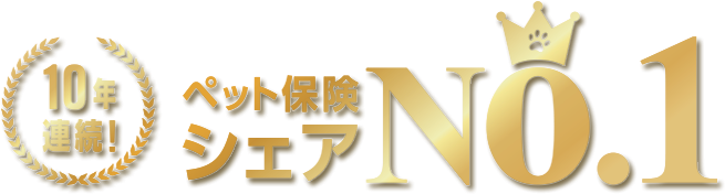シェアNO.1