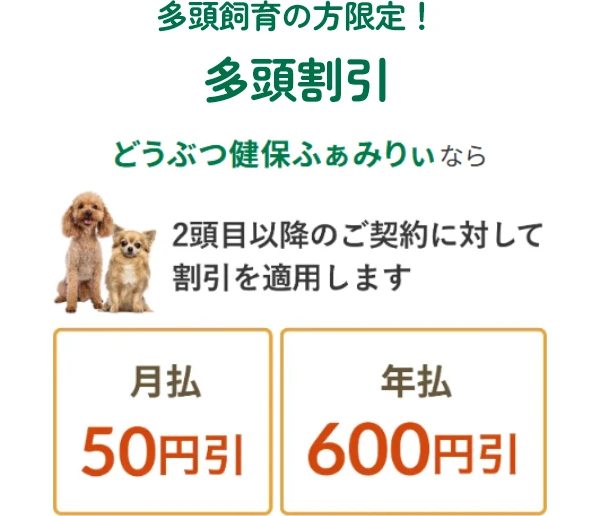 多頭飼育の方限定！多頭割引