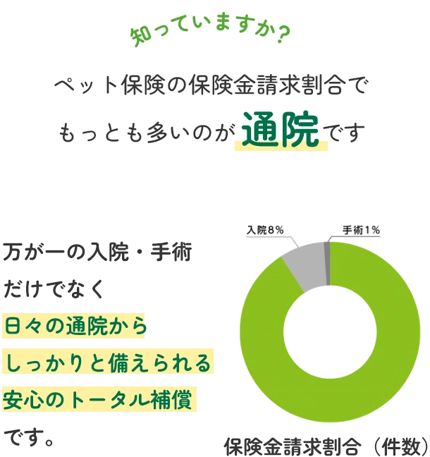 知っていますか？ペット保険の保険金請求割合でもっとも多いのが通院です