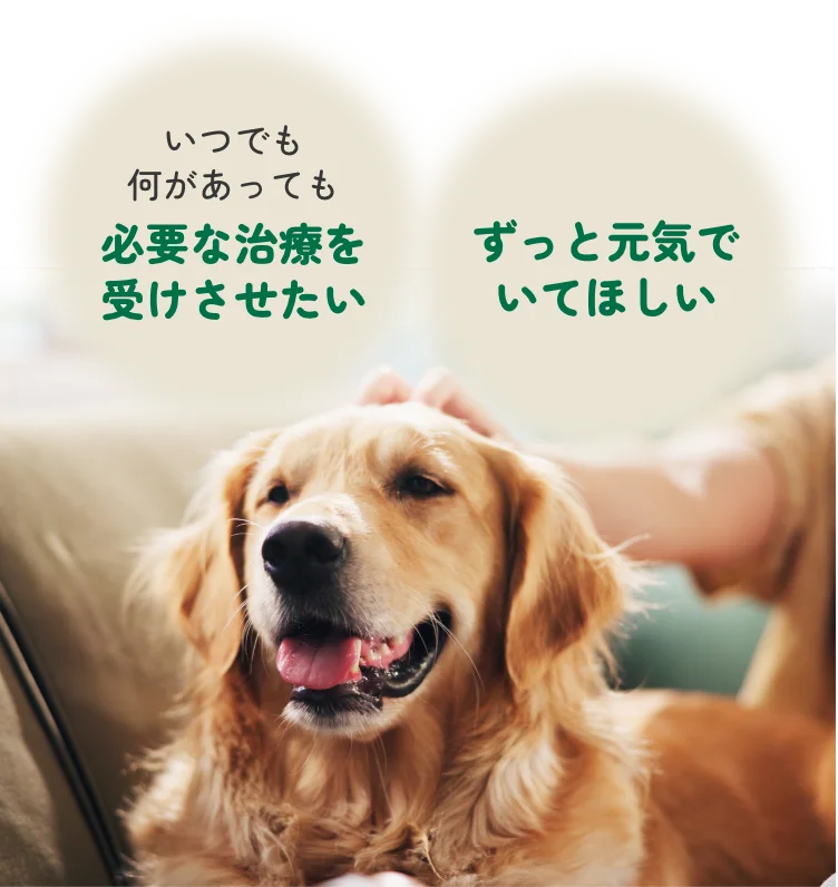 いつでも何があっても必要な治療を受けさせたい ずっと元気でいてほしい