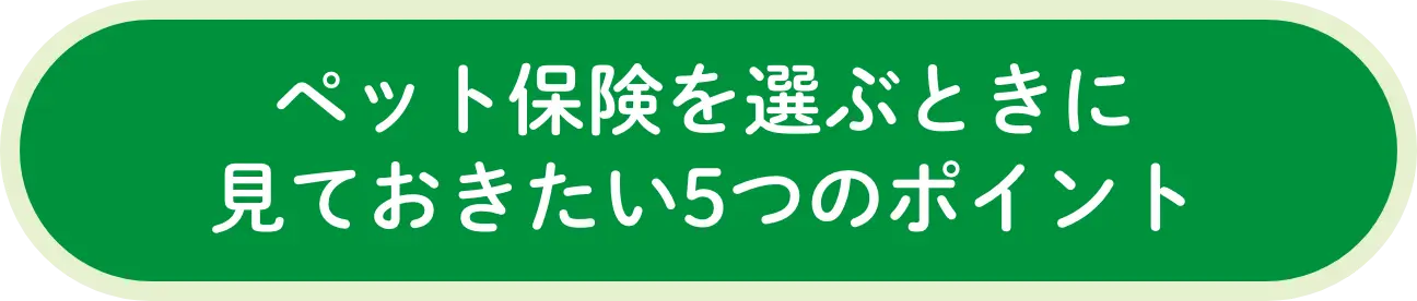 ペット保険を選ぶときにみておきたい5つのポイント