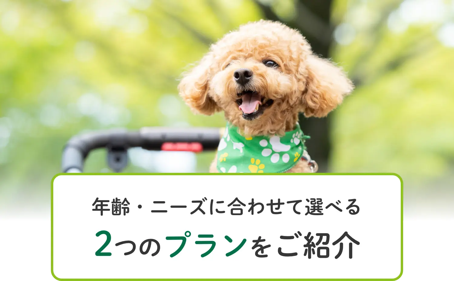 年齢・ニーズに合わせて選べる2つのプランをご紹介