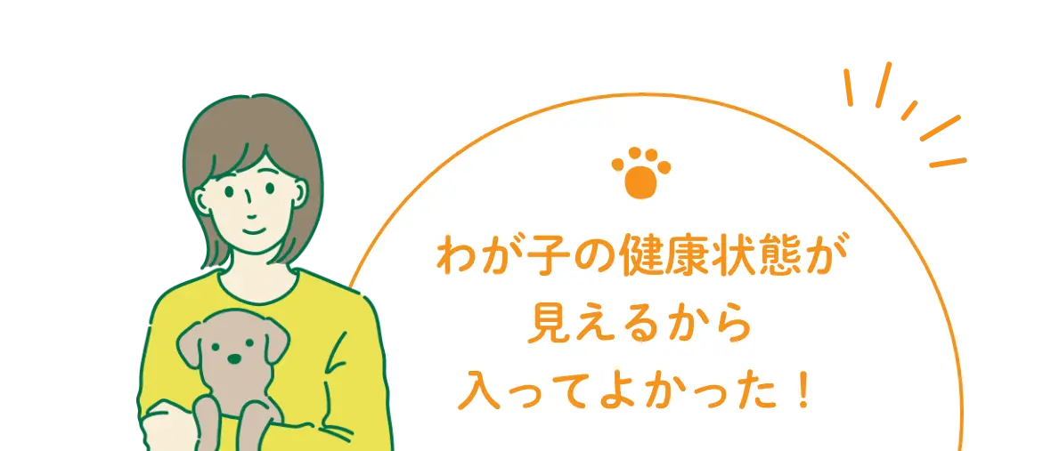 イントロ